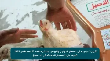 تغييرات جديدة في أسعار الدواجن والبيض والبانية الأحد 17 أغسطس 2025.. تعرف على الأسعار المحدثة في الأسواق